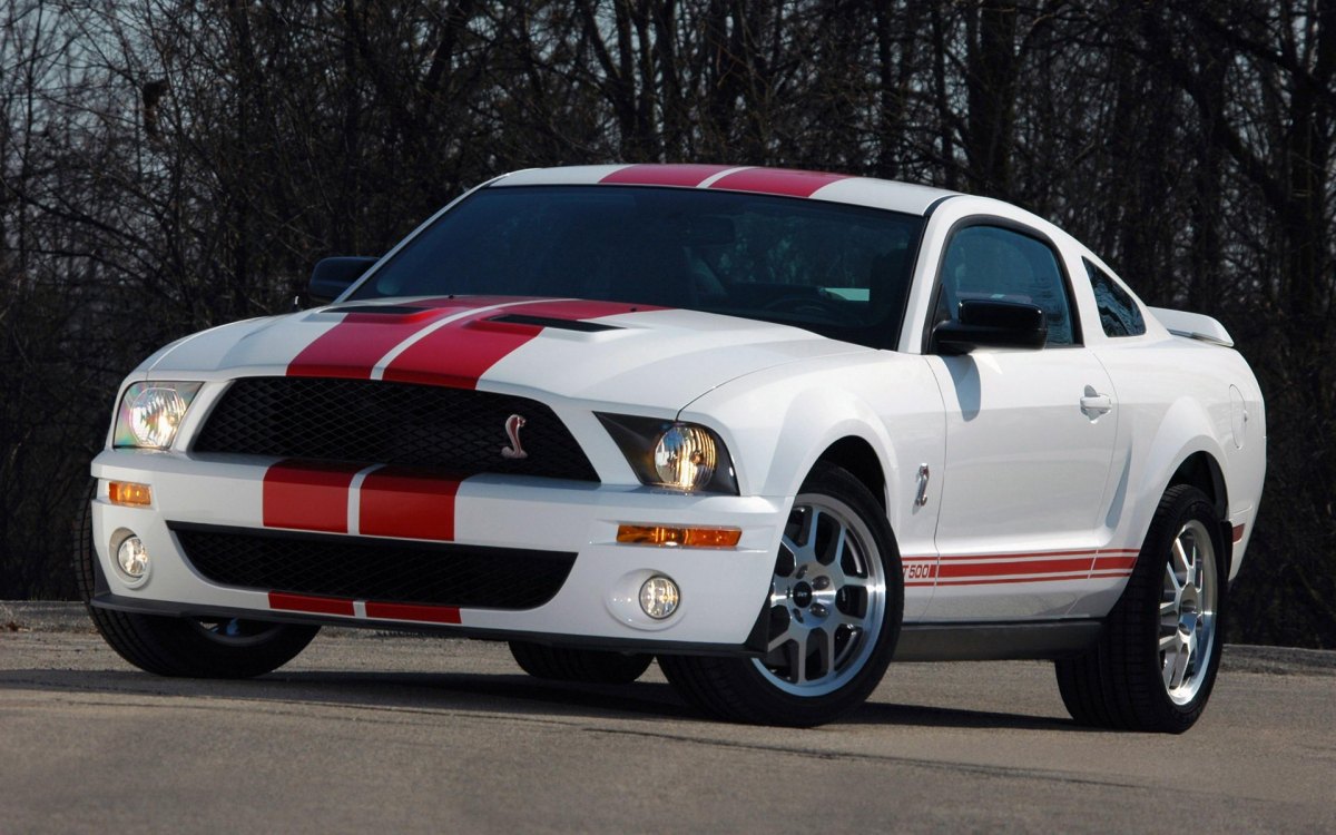 ҰShelby GT500ͼƬֽ(ͼ5)