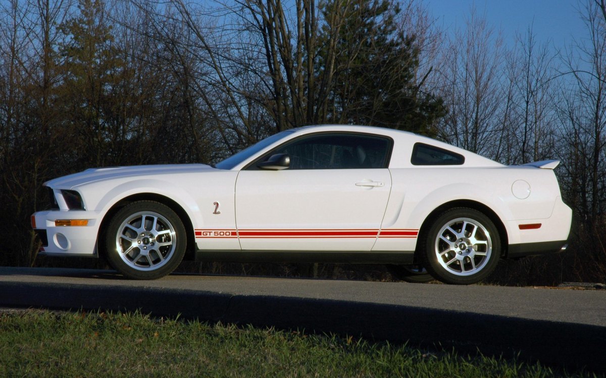 ҰShelby GT500ͼƬֽ(ͼ7)