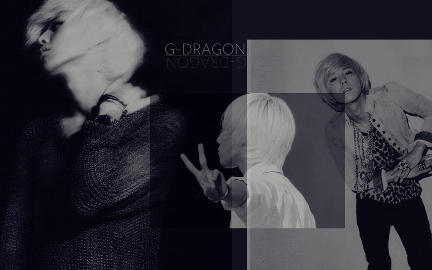 G-DragonȨ־(ͼ5)