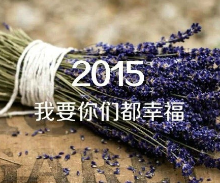 2015ҸԸͼƬֽ(ͼ1)