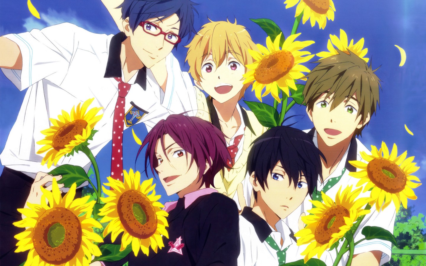 Free!Ӿֽ(ͼ5)