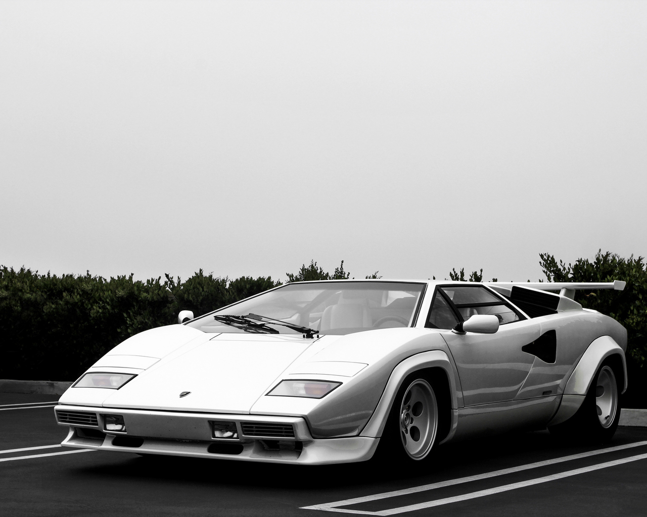 Countachֽ(ͼ1)