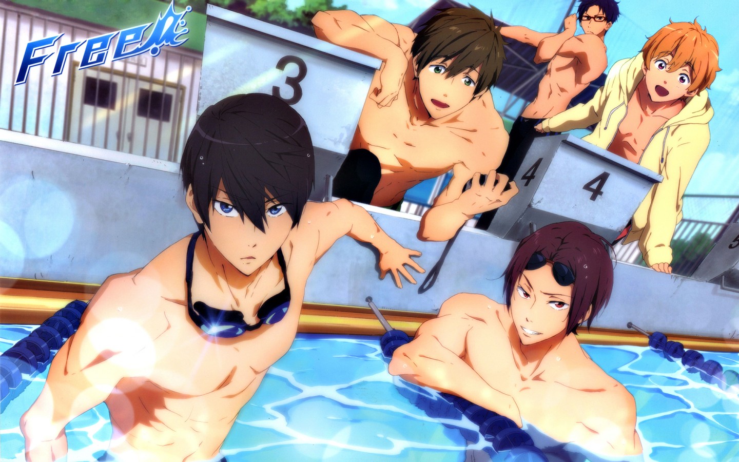 free!Ӿֽ(ͼ13)