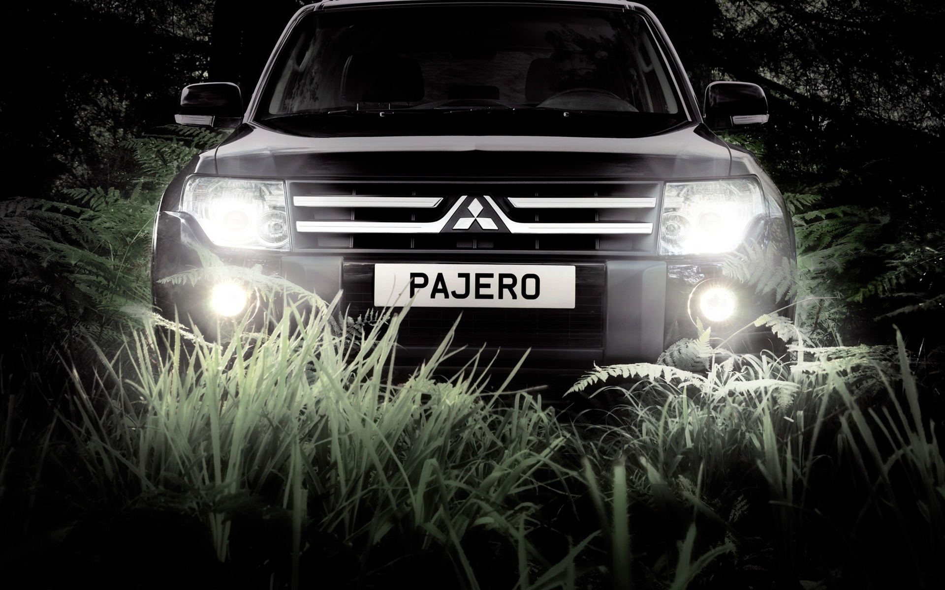 ԽҰPAJEROֽͼƬȫ(ͼ2)