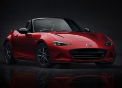 ԴMX-5ֽ