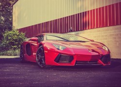 -Aventadorֽܳ