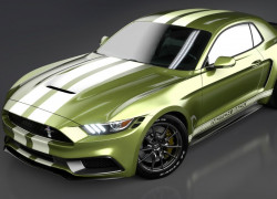 2017 Ford Mustang NotchBackҰбװ