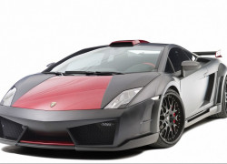  Hamann Victory II Gallardo LP560 4ֽ