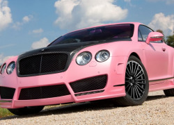 Mansory Bentley Vitesse RoseMansoryװۺˣ