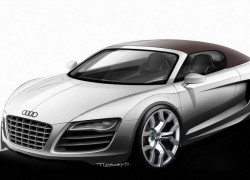 Audi R8 SpyderµܳͼƬֽ