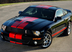 ҰShelby GT500ͼƬֽ